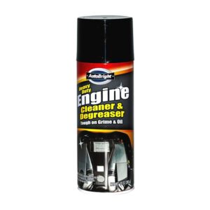 Engine Degreaser Diversion Safe