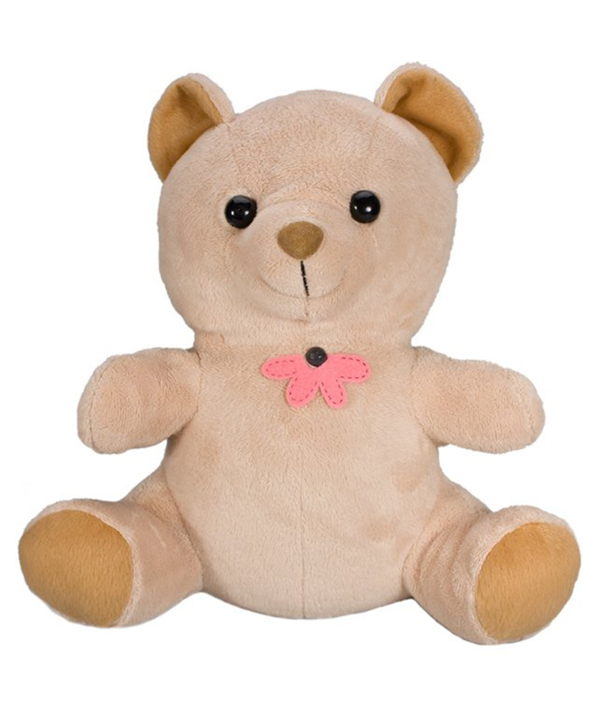 Xtreme Life Teddy Bear Camera